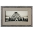 thumbnail image 1 of Uttermost Deep Sleep Traditional Wood and Glass Bear Print in Brown/White, 1 of 5