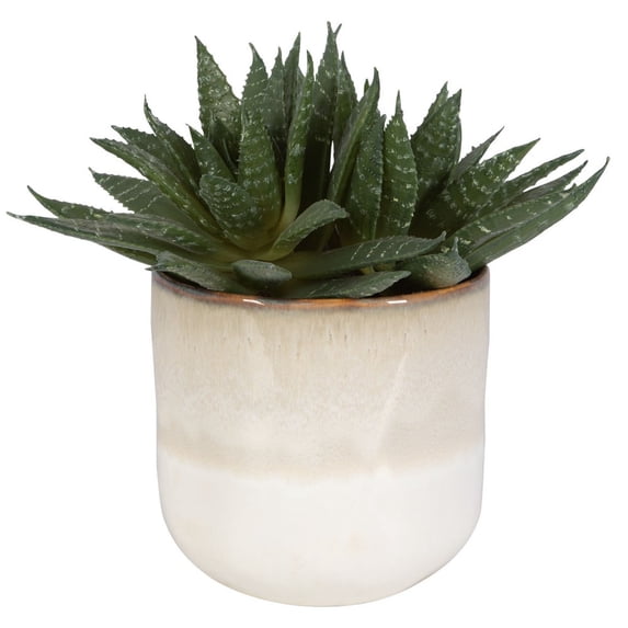 Uttermost Doha Coastal Ombre Glazed Ceramic/Plastic Flower Pot in Beige/Green