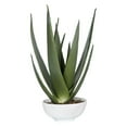 thumbnail image 1 of Uttermost Evarado Polyfoam Resin and Stone Aloe Planter in Glossy White, 1 of 3