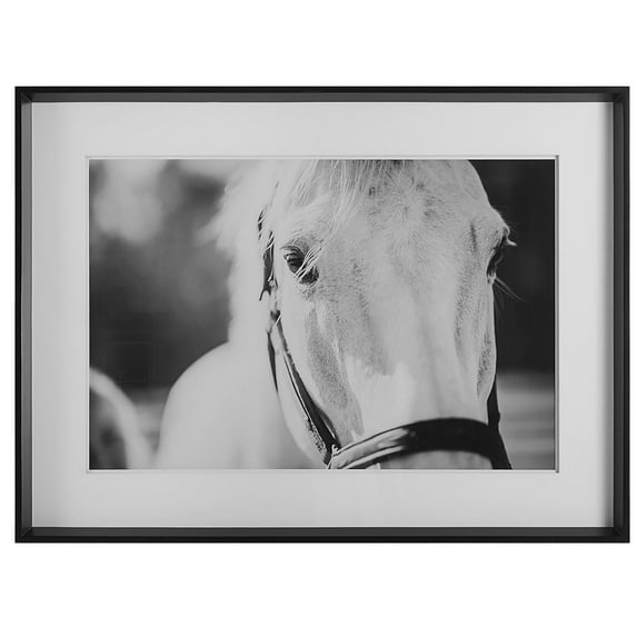 Uttermost Eyes On The Prize Wood and Glass Framed Print in Black/White
