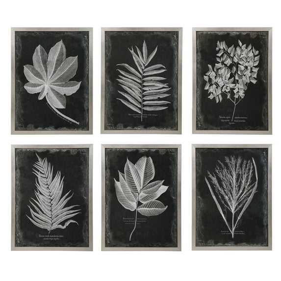 Uttermost Foliage Plastic Glass and Wood Framed Prints in Multi-Color (Set of 6)