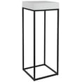 thumbnail image 1 of Uttermost Gambia Modern Marble and Steel Plant Stand in Aged Black, 1 of 7