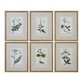 thumbnail image 1 of Uttermost 33651 Green Floral Botanical Study Six Piece Framed Print Set By Grace Feyock -, 1 of 3