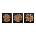 thumbnail image 1 of Uttermost Kolini Teak Wood Wall Decor, S/3, 1 of 3
