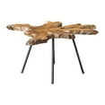 thumbnail image 1 of Uttermost Kravitz Teak Wood and Iron Accent Table in Light Honey and Aged Black, 1 of 6
