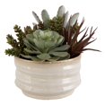 thumbnail image 1 of Uttermost Mesa Succulent Contemporary Ceramic Flower Pot in Tan/Green, 1 of 6