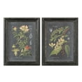 thumbnail image 1 of Uttermost Midnight Botanicals MDF Wood Wall Art in Multi-Color (Set of 2), 1 of 3