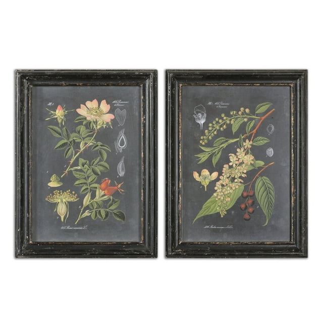 Uttermost Midnight Botanicals MDF Wood Wall Art in Multi-Color (Set of 2)
