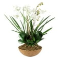 thumbnail image 1 of Uttermost Moth Orchid Polyester and Plastic Planter in Natural Brown/Green, 1 of 4