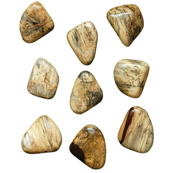 Uttermost Pebbles Contemporary Wood Wall Decor in Natural (Set of 9)