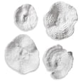 thumbnail image 1 of Uttermost Sea Coral 4-Piece Polyresin Wall Sculpture Set in Antique White, 1 of 3