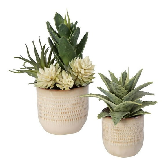 Uttermost Seaside Succulents Coastal Ceramic Flower Pot in Tan (Set of 2)
