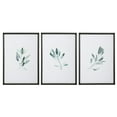 thumbnail image 1 of Uttermost Simple Sage Plastic Glass Paper Prints in Black/Green (Set of 3), 1 of 7
