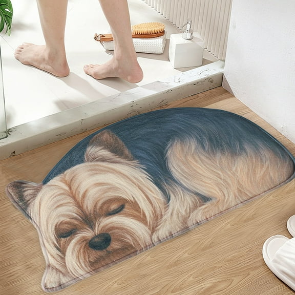UttpKLBx Ultra Soft and Non-Slip Bathroom Rugs Non Slip Bathroom Floor Mat Microfiber Bath Mats for Bathroom Washable Bathroom Floor Mats, Restroom Accessories (D)