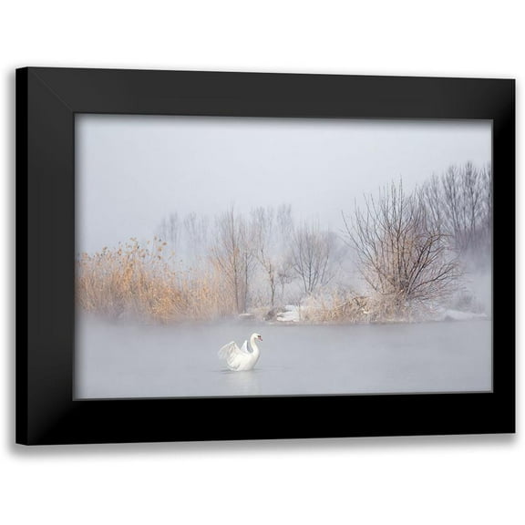 Uu 14x11 Black Modern Framed Museum Art Print Titled - Untitled