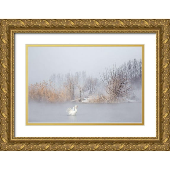Uu 18x13 Gold Ornate Wood Framed with Double Matting Museum Art Print Titled - Untitled