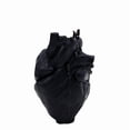 thumbnail image 1 of Uuiauoio Anatomical Heart Shaped Candle Gift Home Aesthetic Decor Pine Fragrance Natural Soy Wax Handmade Aromatherapy Candle Desk Decoration for House Bedroom Party Supplies, 1 of 5