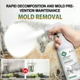 thumbnail image 1 of Uuiauoio Wall Mold Remover Spray 500ml, Household Mold and Mildew Cleaner for Glass Plastic Tile and Grout,Liquid Stain Eliminator for Indoor Surfaces, No-Scrub Cleaning Solution for Walls and Floors, 1 of 9