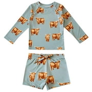 ZHUASHUM Swimwear For Boys 4 Years Children'S Floral Print Short Sleeve Flat-Horn Sunscreen Bikini 2 Pieces Swimsuits E