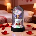 thumbnail image 1 of Uutvery Valentine’s Day Preserved Flower Bear Bow Rose Ornament, Acrylic Dome Night Light with LED, Holiday Gift Home Decor, 6.10x3.35 Inches, 1 of 6