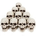 thumbnail image 1 of Uutvmp 10PCS Halloween Skulls Heads, Skull Decor for Halloween Party, Halloween Skeletons Plastic Realistic Human Skull Head Bone Model Ghost House Props Halloween Party Supplies, 1 of 8