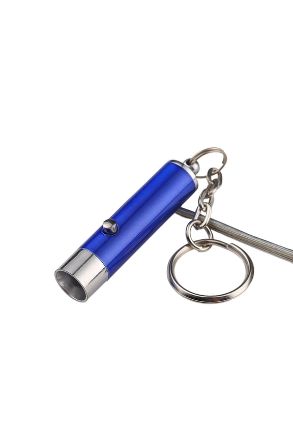 Uv Light Flashlight | Counterfeit Bill Detector and Pet Urine Detector Light | Mini Keychain Flashlight with Stainless Steel Key Ring