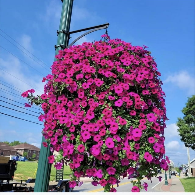 Uv Simulation Artificial Flowers For Outdoors 23Flowers 26In Length