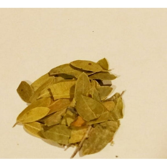 Uva Ursi Cut and Sifted Leaf