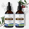 thumbnail image 1 of Secrets Of The Tribe Uva Ursi Tincture Dietary Supplement, Natural Herbal Extract for Urinary Tract Support, Uva-Ursi (Arctostaphylos Uva-Ursi) Dried Leaf, Alcohol-Free Extract, Drops 2x4 oz, 1 of 5