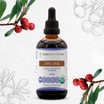 thumbnail image 1 of Secrets Of The Tribe Uva Ursi Organic Dietary Supplement, Natural Herbal Tincture for Urinary Tract Support, Certified Organic Uva-Ursi (Arctostaphylos Uva-Ursi) Dried Leaf, Alcohol-Free Extract 4 oz, 1 of 9