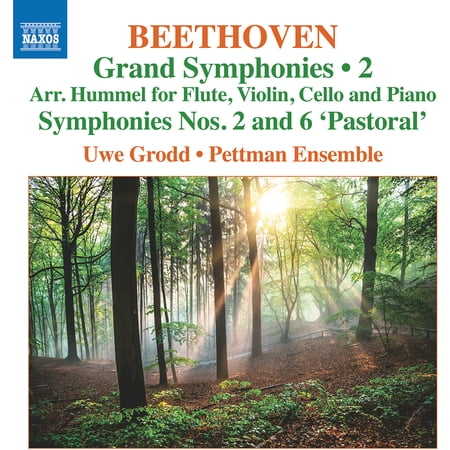 Uwe Grodd - Grand Symphonies Vol 2 - Nos 2 & 6 - Music & Performance - CD