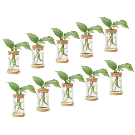 Uxcell 0.24 x 4.33 Inch Plant Propagation Station, 10 Pcs Plant Terrarium Vases for Home Decoration Garden Gardening Indoor Housewarming Gifts for Plant Lovers Women, Transparent
