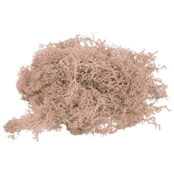 Uxcell 0.35 OZ Moss Fake Moss Artificial Moss Natural Preserved Moss for Arts Floral DIY Project (Khaki)
