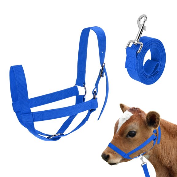 Uxcell 1-Pack Adjustable Cattle Cow Calf Halter, 12.6"-18.9" Nylon Livestock Cow Halter with Leading Rope [Blue]