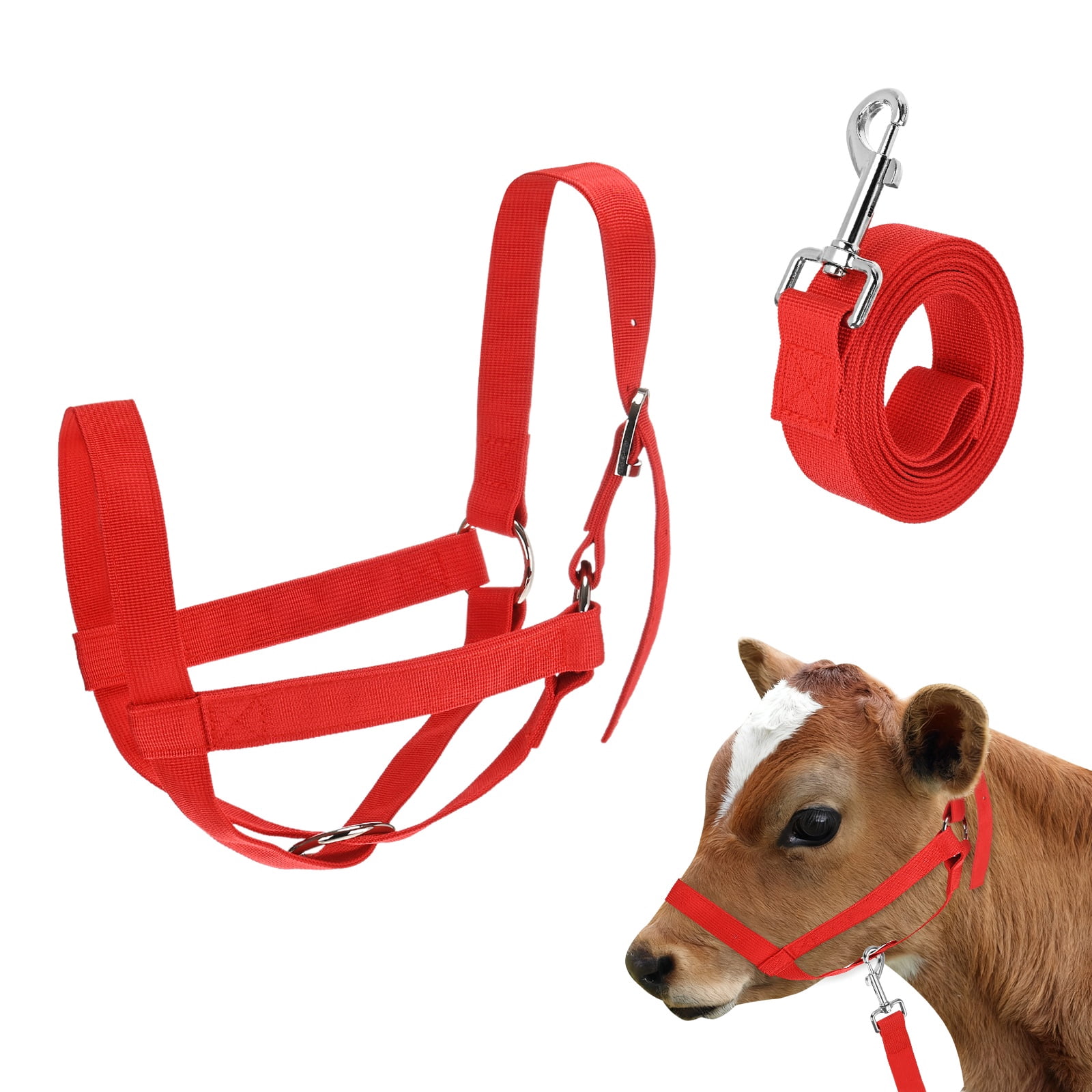 Cow Ropes Braided Rope Halter Cow Puncher Teal