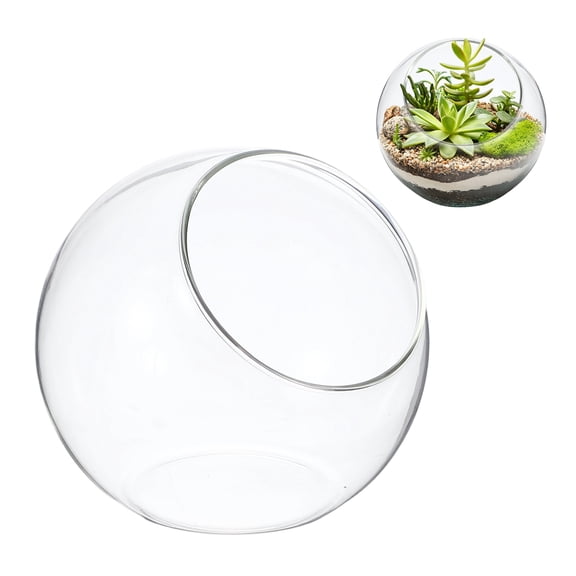 Uxcell 1-Pack Clear Glass Air Plant Terrarium, 3.1 Inch Angled Sphere Plant Display Glass for Windowsill [Transparent]