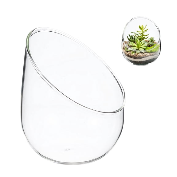 Uxcell 1-Pack Clear Glass Air Plant Terrarium, 3.9 Inch Small Angled Plant Display Glass for Windowsill [Transparent]