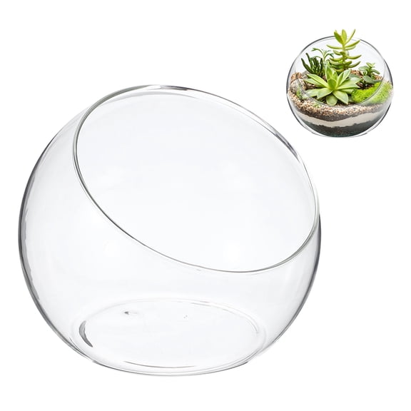 Uxcell 1-Pack Clear Glass Air Plant Terrarium, 4.1 Inch Wide Mouth Angled Plant Display Glass for Windowsill [Transparent]