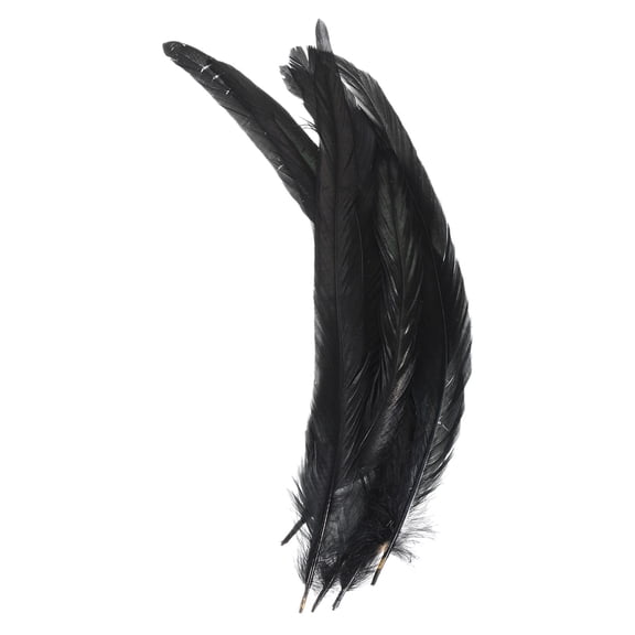 Uxcell 10-12 Inch Rooster Feathers, 50 Pack Bulk Natural Feathers for Crafts Style 1, Black