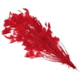 thumbnail image 1 of Uxcell 10-12 Inch Turkey Feathers, 1 Set Fluffy Bulk Natural Feathers for Crafts, Red, 1 of 5