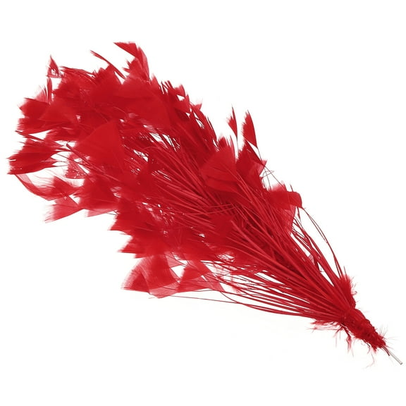 Uxcell 10-12 Inch Turkey Feathers, 1 Set Fluffy Bulk Natural Feathers for Crafts, Red