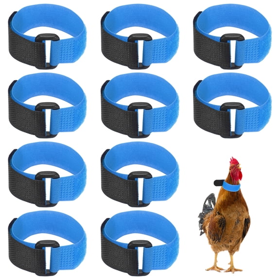 Uxcell 10-Pack Rooster Collars, Adjustable Soft Polyester Anti-Noise Neck Belt for Chickens and Poultry Birds [Blue]