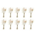 thumbnail image 1 of Uxcell 10 Pcs Mini Pampas Grass Dried Flower Bouquet Baby's Breath Boho DIY Gift Pink, 1 of 6