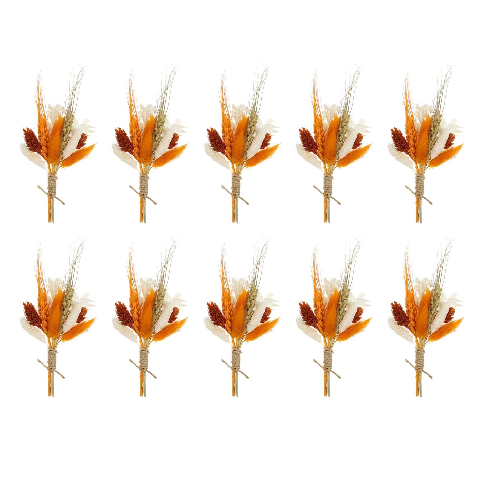 Uxcell 10 Pcs Mini Pampas Grass Dried Flower Bouquet Baby's Breath Boho DIY Gift Orange