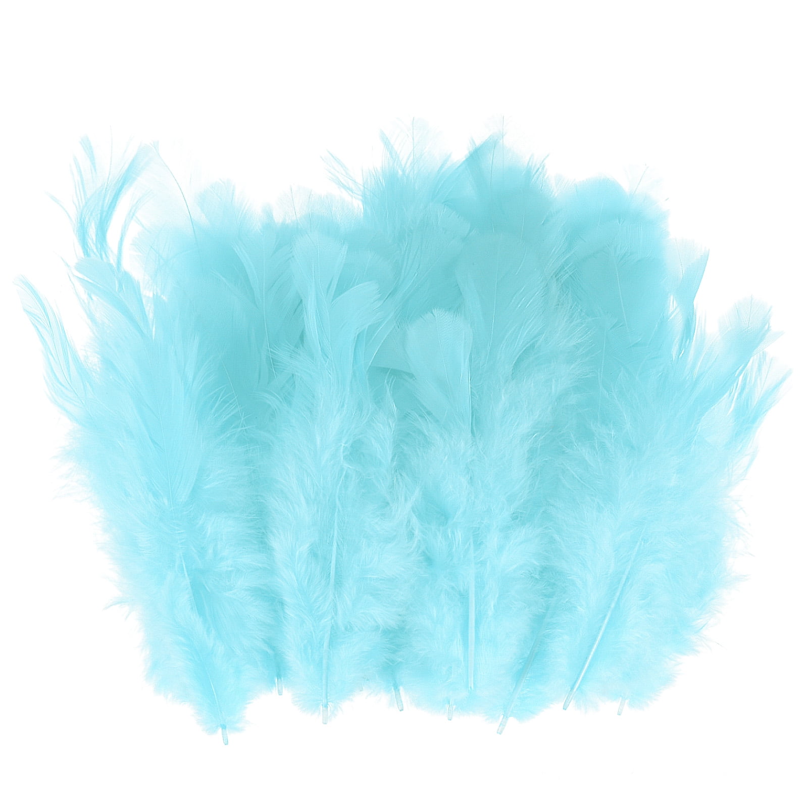 Blue Feathers