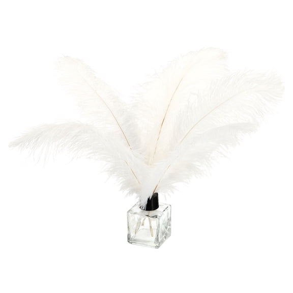 Uxcell 100 Pcs Natural Ostrich Feathers Bulk 8-10 Inch Large Ostrich Feathers for Crafts Home Decoration White