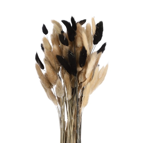 Uxcell 100Pcs Natural Dried Pampas Rabbit Bunny Tails Dried Flowers 18" Mini Pampas Grass Lagurus Ovatus Bunch