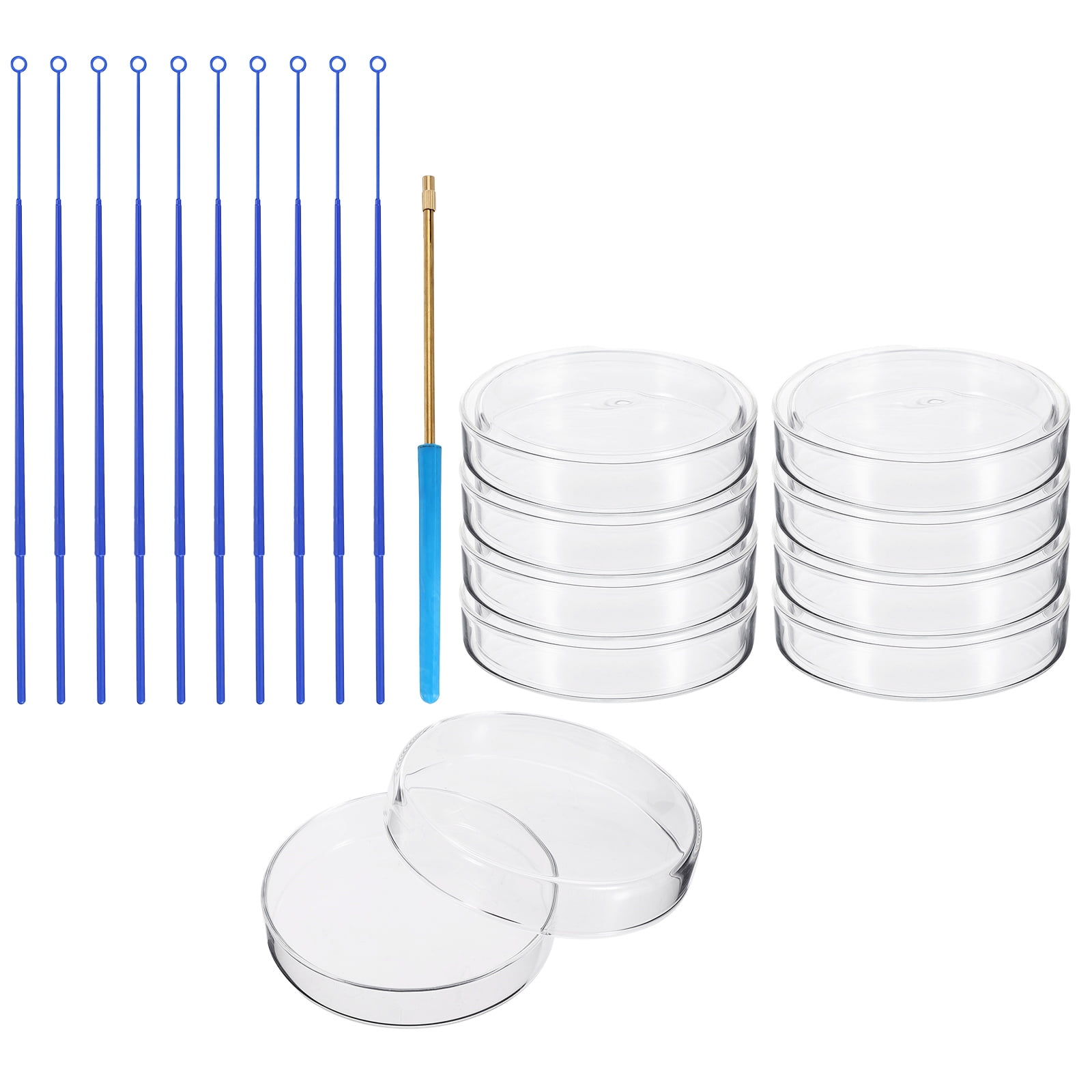 Petri Dishes With Pipettes - 100 Pack 90mm Lab Dishes & 20