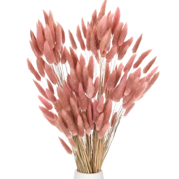 Uxcell 120-Pack Bunny Tails Grass 17 Inch Fluffy Rabbit Tail Grass Dried Flowers for Home/Wedding [Brown]