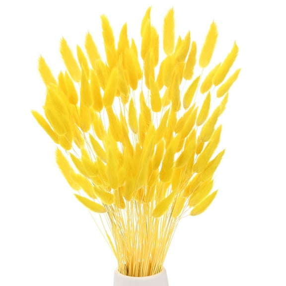 Uxcell 120-Pack Bunny Tails Grass 17 Inch Fluffy Rabbit Tail Grass Dried Flowers for Home/Wedding [Golden Yellow]